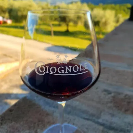 Colognole Pontassieve