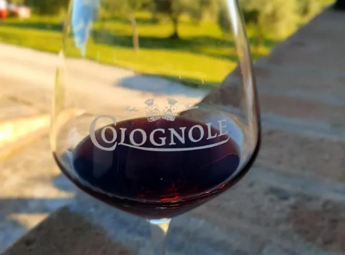 Colognole Pontassieve